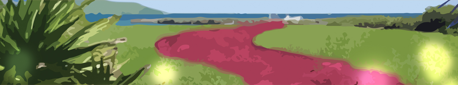 snugaloos contact us